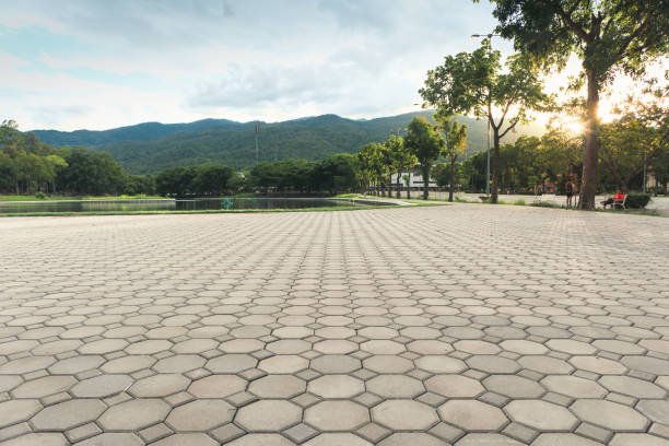 Best Residential Driveway Paver Services  in Eldora, IA
