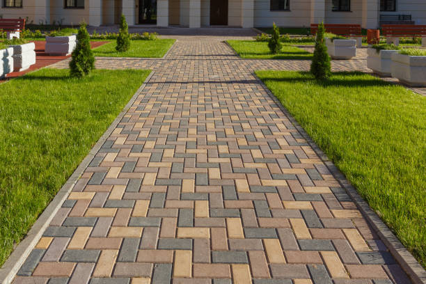 Best Professional Driveway Pavers  in Eldora, IA